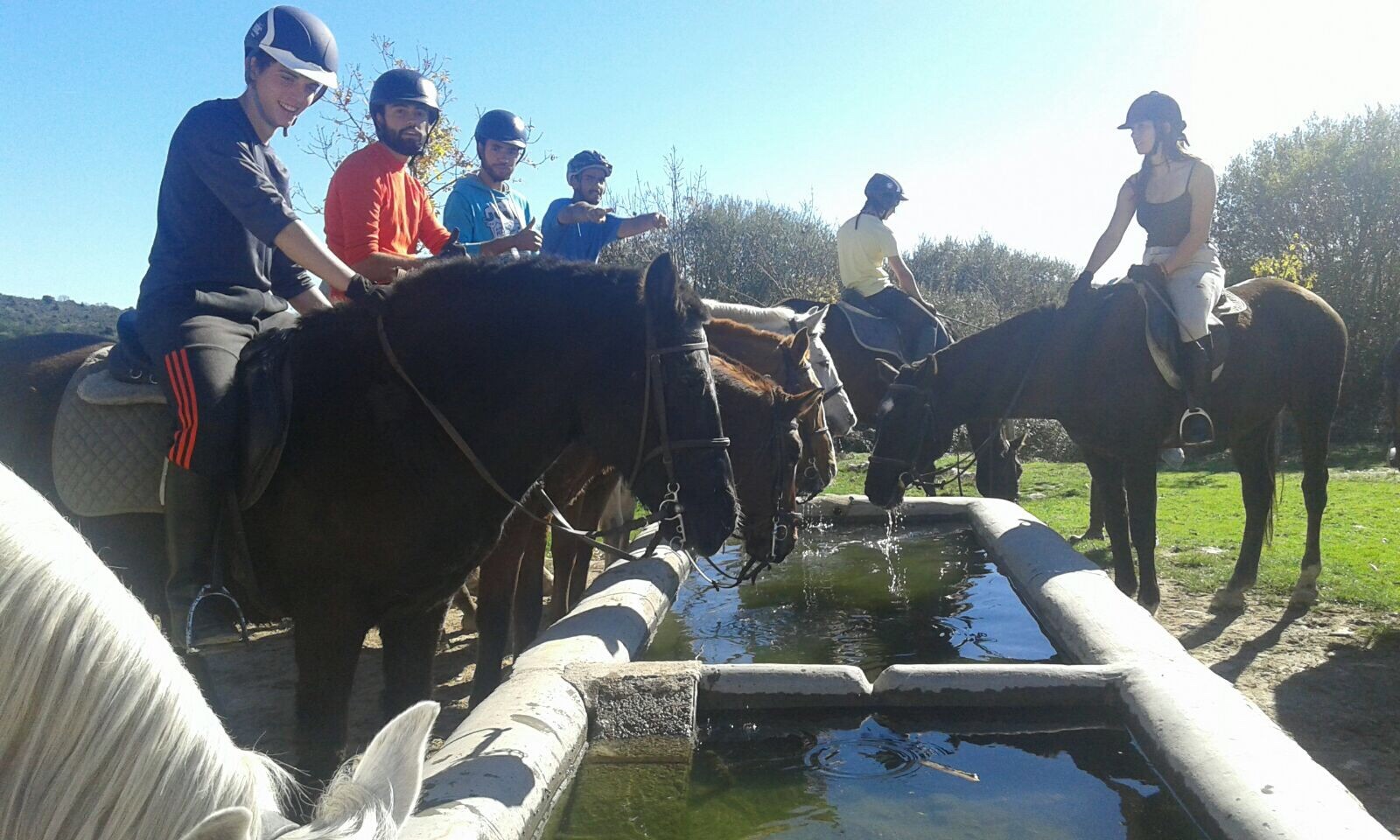 fp-medio-caballos